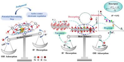 Synergistic Enhancement of β-NiOOH Electrocatalytic Oxygen Evolution Reaction Performance through Transition Metal Atom Doping and Vacancy Modulating