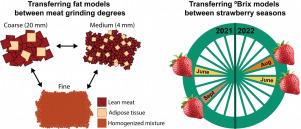 Raman and NIR spectroscopy: A discussion of calibration robustness for food quality measurements through two case studies