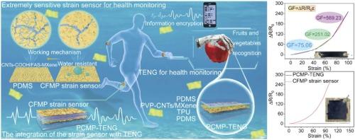 Multifunctional electronic skin with waterproof strain sensing and ultra-stretchable triboelectric energy harvesting