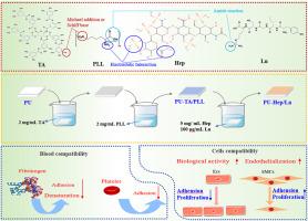 Construction of an anticoagulant coating mimicking extracellular matrix for better surface blood compatibility and endothelialization of polyurethanes
