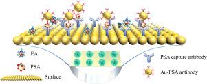 Ni(OH)2/MXene-decorated plasmonic interface with dual signal enhancement for sensitive PSA immunoassay in serum