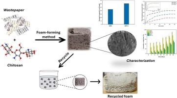 Biodegradable foam from wastepaper with enhanced hydrophobicity for thermal insulation applications