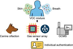 Odor-based individual authentication