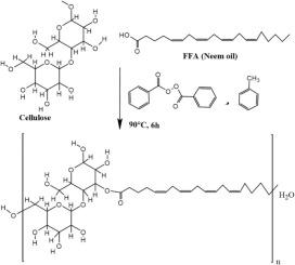 Sustainable green neem oil–based polymeric and Nanocrystalline cellulose additives: Synthesis, characterization, and performance in lubricating oils