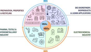 Emergence of deep eutectic solvents (DES): chemistry, preparation, properties, and applications in biorefineries and critical materials