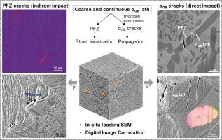 On the origin of grain boundary α phase mediated strain localization and crack initiation in metastable β titanium alloy