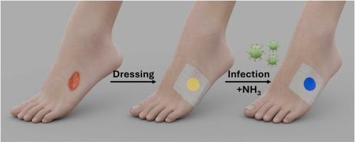 Colourimetric sensor for monitoring ammonia-generating infectious bacteria