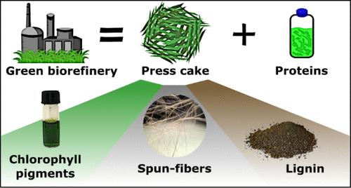 Green Biorefinery Side Stream as a Source of Chlorophyll Pigments, Lignin, and Cellulose for Textile Fibers