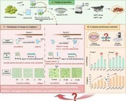 The influence of soaking pretreatment on the mouthfeel and crispiness of fried broad beans (Vicia faba L.) and its mechanism