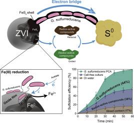 Fast and Eco-friendly Sulfidation of Zero-Valent Iron Using Elemental Sulfur and Geobacter Sulfurreducens for Groundwater Remediation