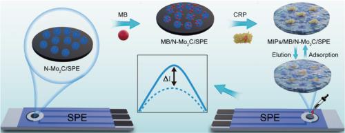Multifunctional paper-based platform with CuCo2O4 nanozyme and MB/N-Mo2C composites for dual-mode detection of inflammatory biomarkers