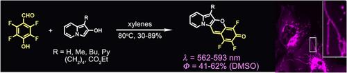 Hybrid of Indolizine and Merocyanine-A New Class of Organelle-Specific Dyes.