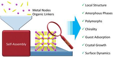 Scanning probe microscopy of metal–organic coordination systems: characterization of monolayers, single crystals, discrete architectures