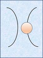 Abstract Image