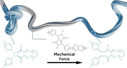 Reactive Strand Extension to Improve Stretchability in Semiconducting Polymers