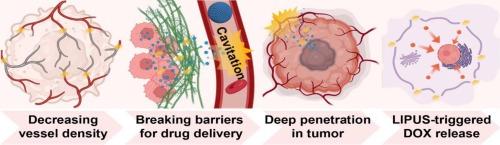 Multi-interfacial microbubbles controlled sequential cavitation for synergistic vascular destruction/chemotherapeutic therapy