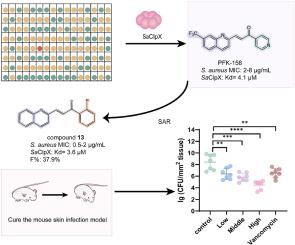 Discovery of potent ClpX modulators with pronounced antibacterial activity against methicillin-resistant Staphylococcus aureus (MRSA)