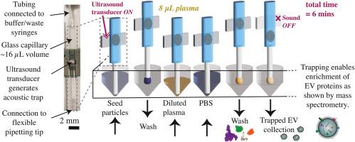 Accessing the proteome of extracellular vesicles via rapid acoustic isolation of a minute human blood plasma sample