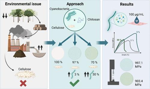 Mechanical Reinforcement of Paper Biocomposites Using Filamentous Cyanobacteria