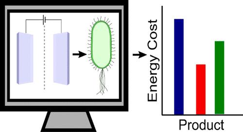 Cascading the Electrochemical Reduction of CO2 with Bioprocesses for the Production of Reduced-Carbon-Intensity Chemicals