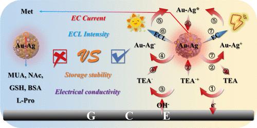 Study on the Enhancement of Electrochemical and Electrochemiluminescence Behaviors of Au–Ag Nanoclusters Based on Synergistic and Ligand Effects