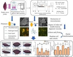 Effects of radio frequency explosion puffing on the texture of purple sweet potato chips and the physicochemical properties of the flour under different energy inputs and pressures