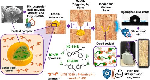 Force-Triggered, Biobased Sealants for Prefabricated Building Components: Toward Improved Efficiency and Performance
