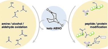 A reflection on ketoABNO: the crossing point between organic synthesis and protein modification