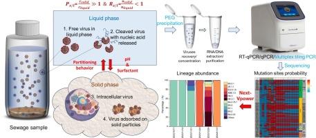 Enhanced wastewater surveillance of respiratory viruses: Unraveling partitioning behavior and demixing co-circulating lineages