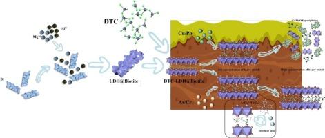 Sulfidation-engineered magnetic LDHs/Biotite composite: Synergistic adsorption and magnetic recovery for heavy metal decontamination in soil