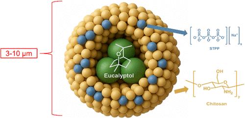 Facile and Green Synthesis of Chitosan-Based Microcapsules: Bridging Organic and Polymer Chemistry for Sustainable Biocidal Applications