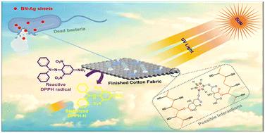 Silver-decorated boron nitride nanocomposite-infused cotton fabric with durable antimicrobial and multifunctional properties