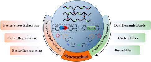 High-performance benzoxazines designed with disulfide-imine networks