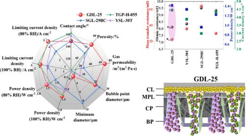 A Novel Gas Diffusion Layer with High Flux for Enhanced Performance in Proton Exchange Membrane Fuel Cells