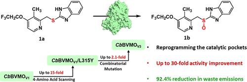 Reprogramming the Catalytic Pocket of Baeyer–Villiger Monooxygenase for Environmentally Compatible Synthesis of a Chiral Sulfoxide Pharmaceutical
