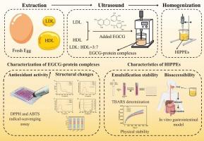 EGCG-egg yolk proteins complexes-stabilized HIPPEs for enhanced delivery of lipophilic bioactives: Insight into structure and function relationship