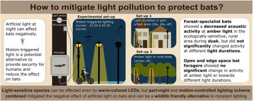 Mitigating light pollution through motion-controlled LED lighting to protect bats