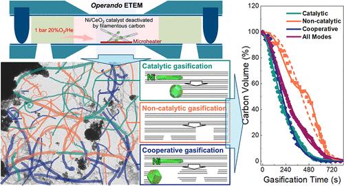 Operando Elucidation of Filamentous Carbon Gasification Kinetics and Mechanisms on a Spent Ni/CeO2 Catalyst
