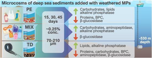 Weathered microplastics alter deep sea benthic biogeochemistry and organic matter cycling: insights from a microcosm experiment
