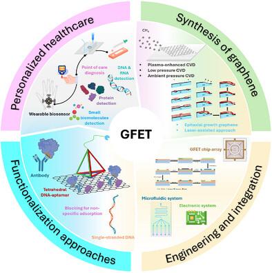 Pushing Biomolecule Detection Limit With Graphene Field-effect Transistor Biosensors