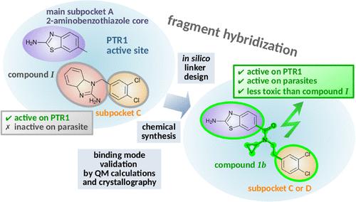 Design of 2-Aminobenzothiazole Derivatives Targeting Trypanosomatid PTR1 by a Multidisciplinary Fragment Hybridization Approach.