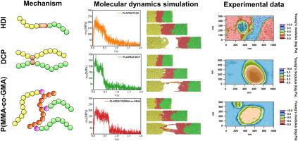 Comparative study of dynamic vulcanization strategies for polylactic acid/polybutylene adipate terephthalate blends based on interfacial molecular dynamics investigations