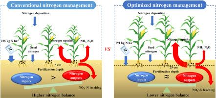 Reducing nitrogen application through deep placement to optimize the nitrogen balance in a dryland maize cropping system