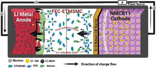 Mechanistic Study of Functional Electrolyte Solvents for High-Voltage Lithium Batteries