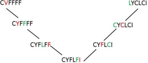 Navigating Homogeneous Graph Paths Through Amyloidogenic and Non-Amyloidogenic Hexapeptides