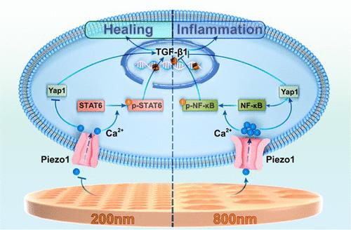 Surficial Pore Structure on Polyetheretherketone Implants Regulates Mechanical Properties to Promote Macrophage M2 Polarization