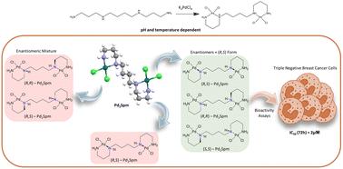 Palladium(II) anticancer agents: the intricate case of the Pd–spermine complex