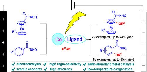 Aminoquinoline-Directed Electrochemical Cobalt-Catalyzed C(sp²)–H Alkoxylation