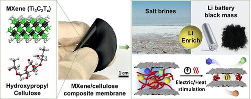 Nanoconfined MXene/Cellulose Membranes for Selective Lithium Extraction from Brines and Black Mass