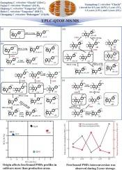 Effects of botanical-geographical origin and storage time on the composition of free and bound polymethoxyflavones in dried citrus peels
